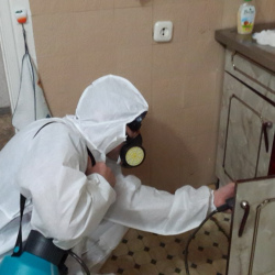 Дезинфекция от муравьев в квартире в Азнакаево