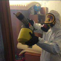 Уничтожение клопов в квартире. Азнакаево