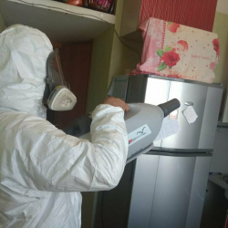 Уничтожение насекомых в квартире. Азнакаево